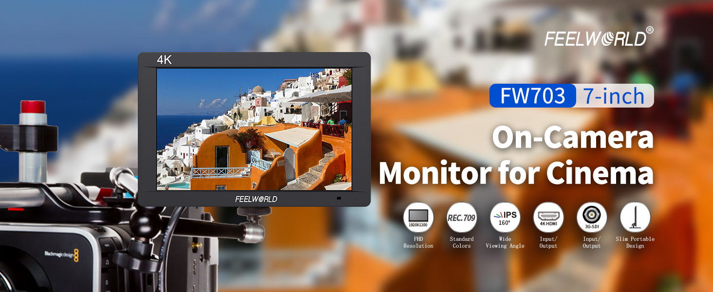 camera monitor