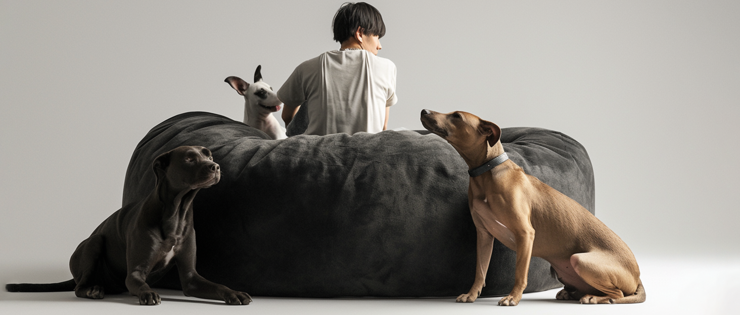 Bean Bag