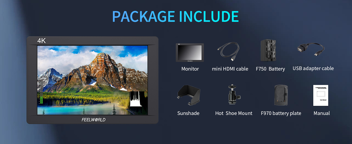 camera monitor