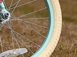 FRONT V BRAKE & REAR COASTER BRAKE
