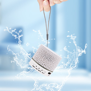Mini Speaker