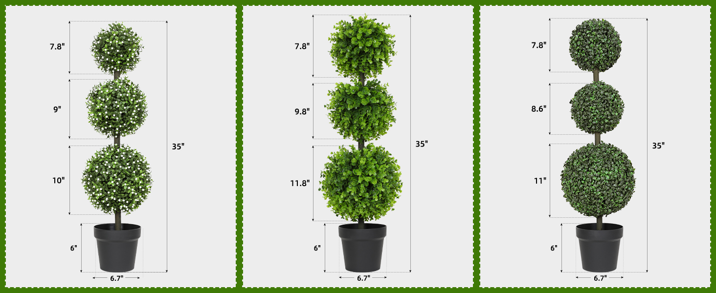 boxwood ball tree