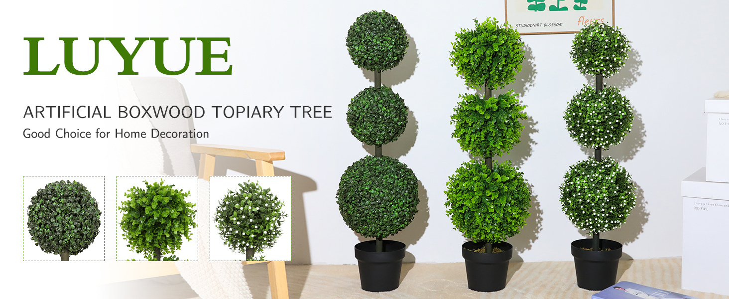 boxwood ball tree