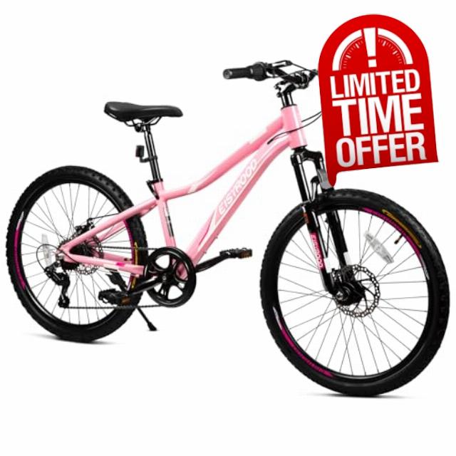 20/24inch Girls Bike
