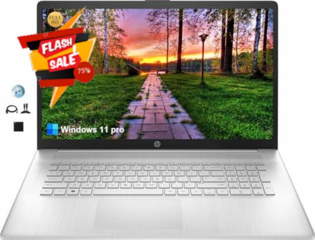HP 17.3" FHD Essential Business Laptop