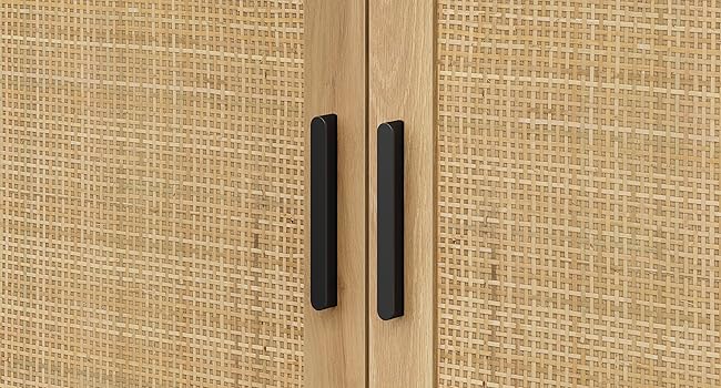 accent cabinet with doors
