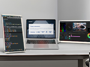 portable monitor