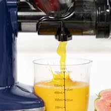 Cold press juicer