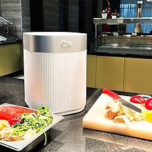 electric kitchen composter