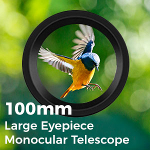 monocular