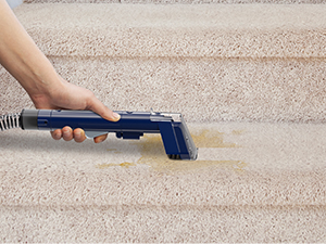Carpet Cleaner Machine