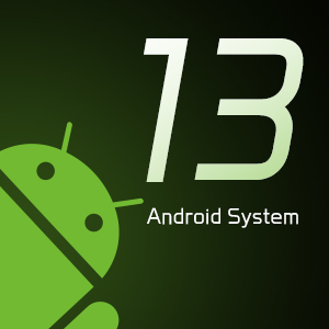 RK3566 Processor 4-Core, 2GB Ram &32GB Rom.CPU adopts 4-core A55 architecture processo