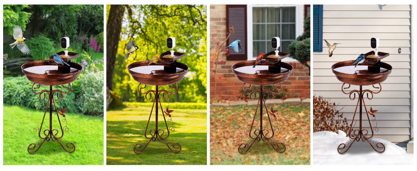Metal Bird Bath