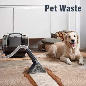 carpet upholstery cleaner machine