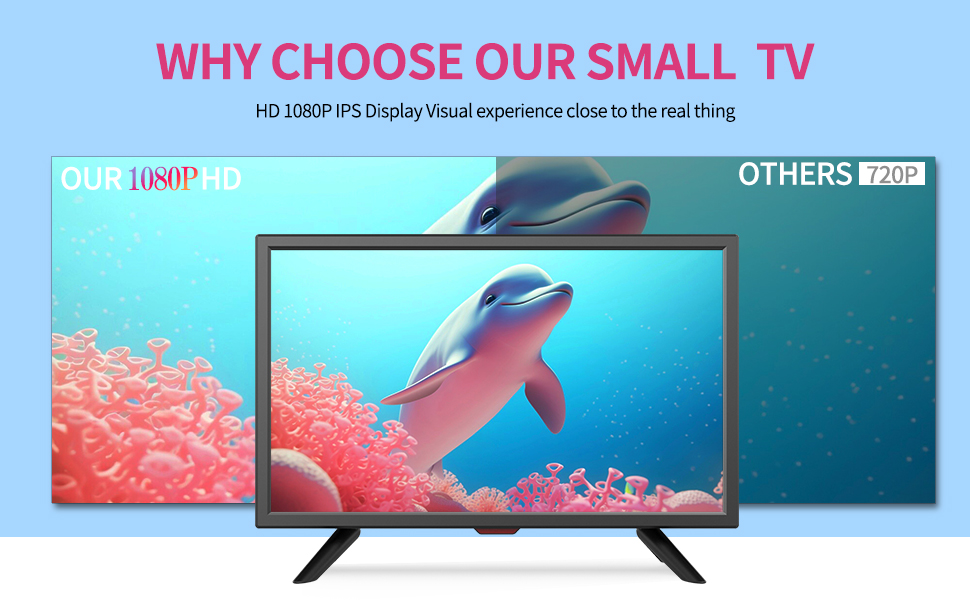 SMALL TV