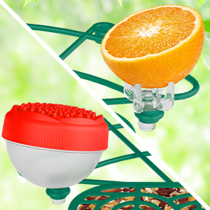 ai bird feeder camera with bathtub