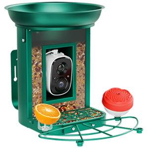 bird feeder camera with bathtub