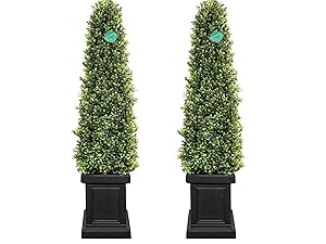topiary tree