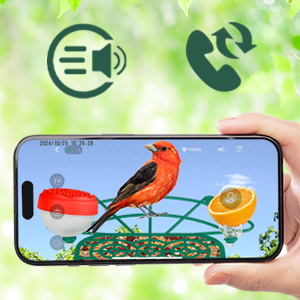 solar powered bird camera