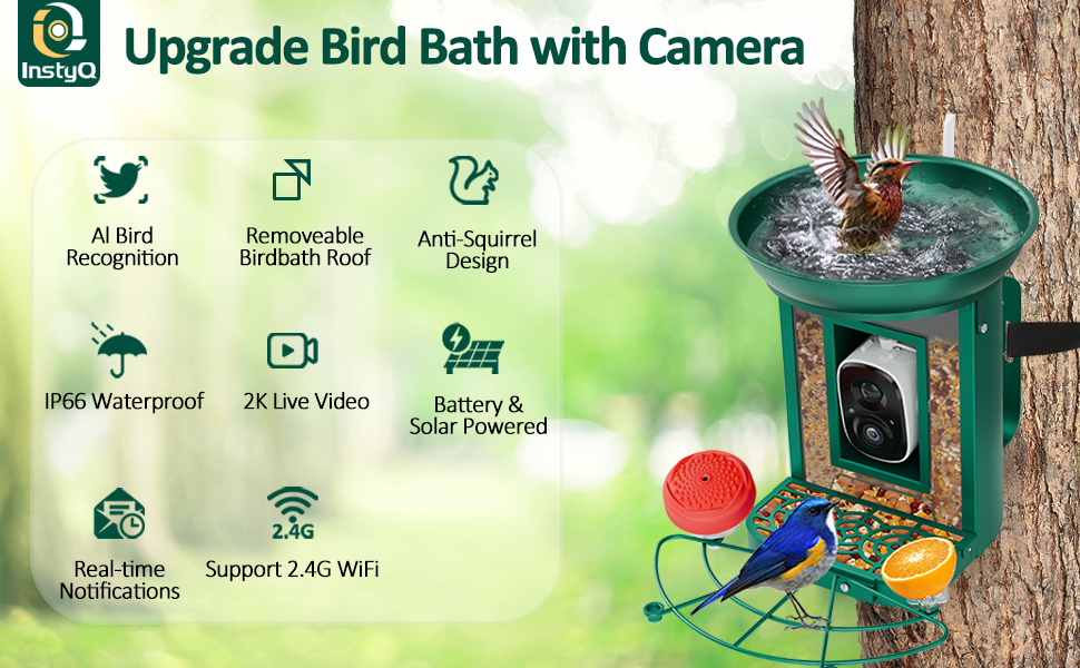 bird bath with camera