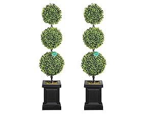 topiary tree
