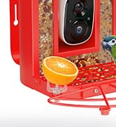 bird feeder camera with bath
