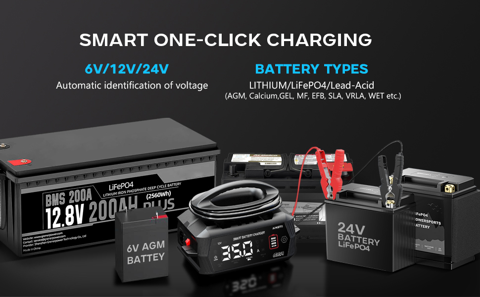 35A Battery Chargers