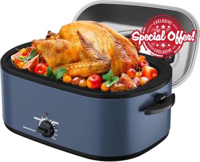 Sunvivi Electric Roaster