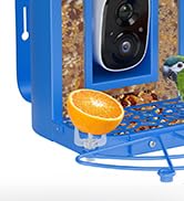 Bird Feeder Camera with Bath