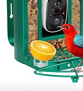 smart bird feeder with camera
