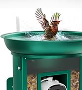bird feeder camera with bath