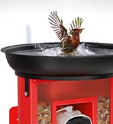 InstyQ bird feeder camera with bath