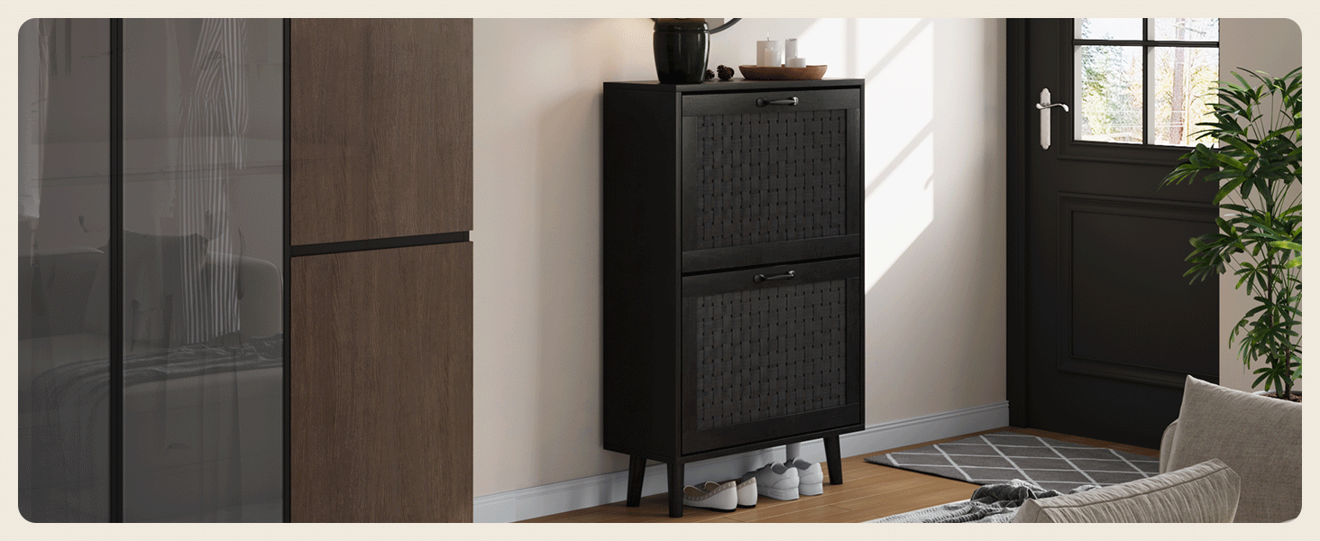 closet shoe cabinet