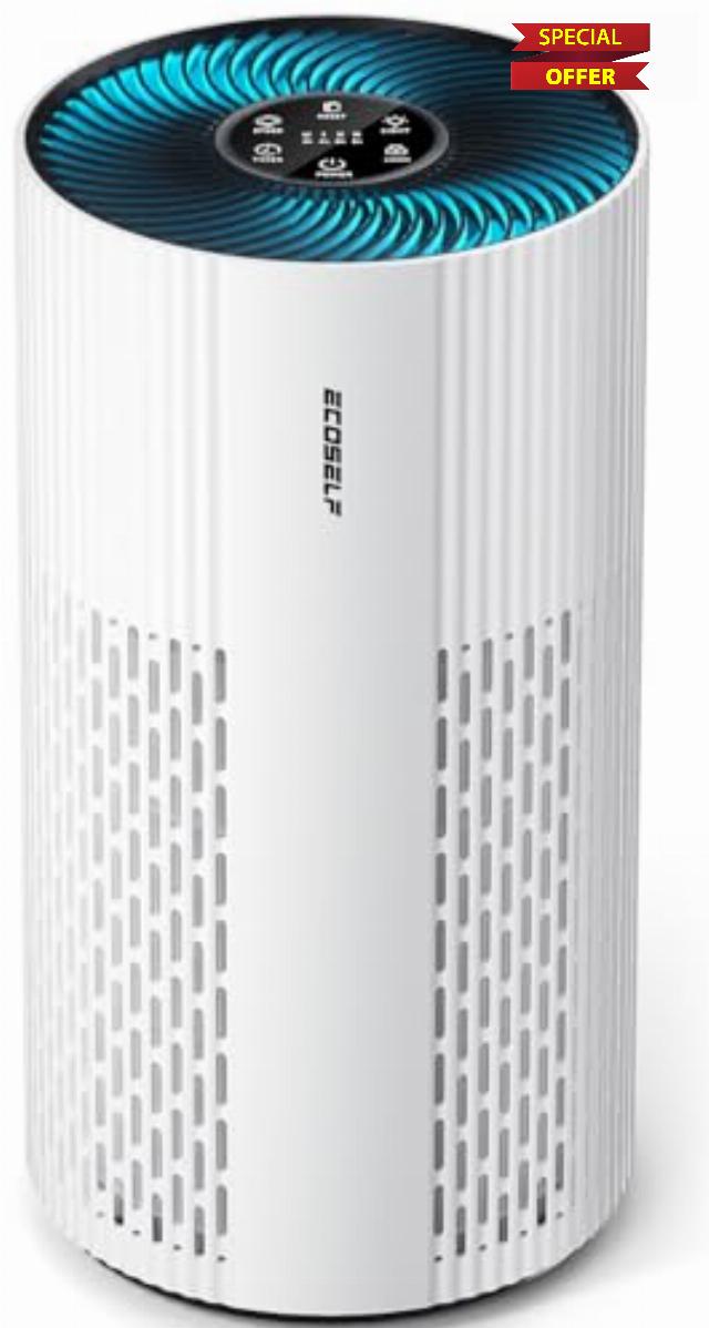 Air Purifiers for Home Large Room