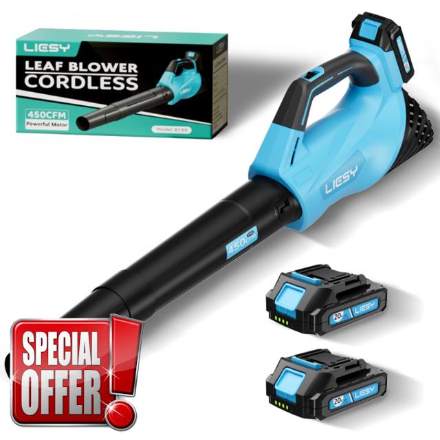 Leaf Blower Cordless with 2 * 20V Batteries and Charger