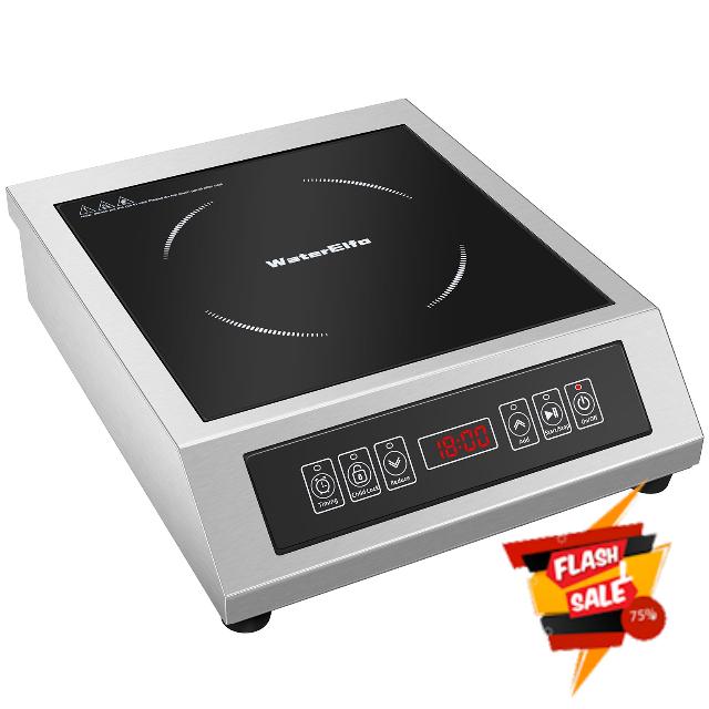 Professional Portable Induction Cooktop