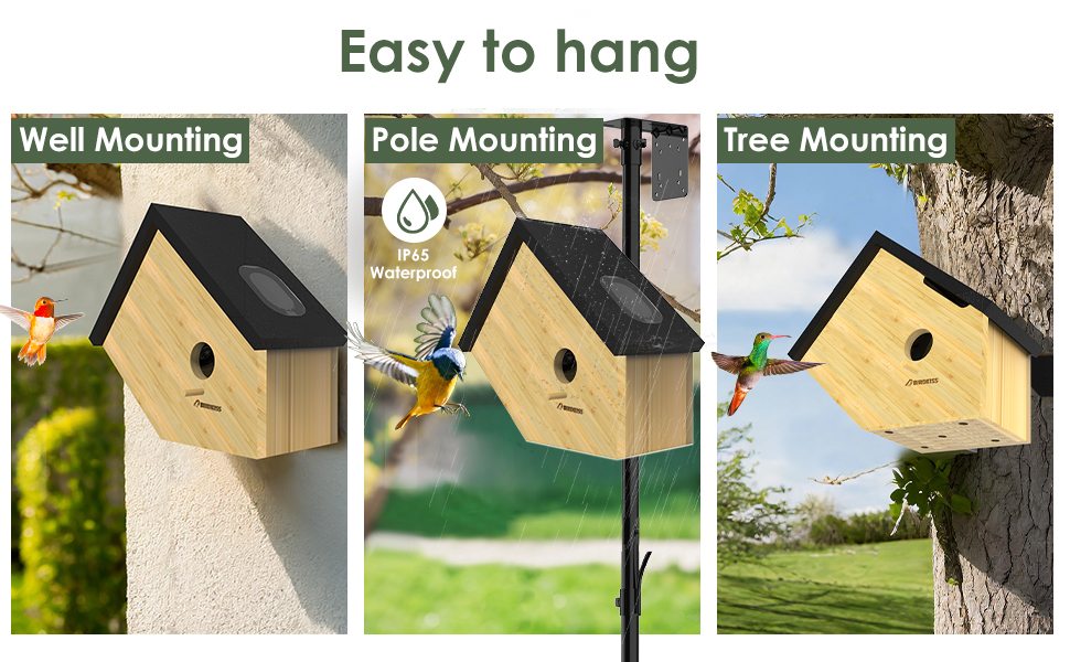 Hummingbird House