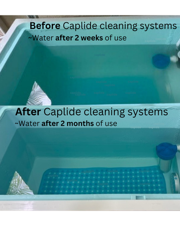Caplide Cold plunge brand story