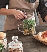Dough Maker with Ferment Function