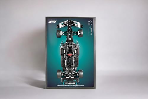 Perfect for Lego Enthusiasts (No Car Included)