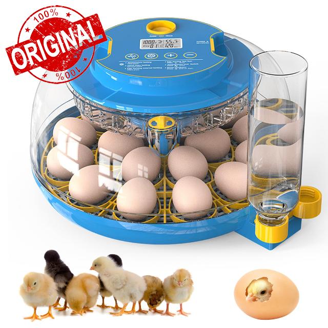 Incubators for Hatching Eggs