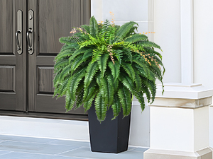 artificial ferns for outdoors large