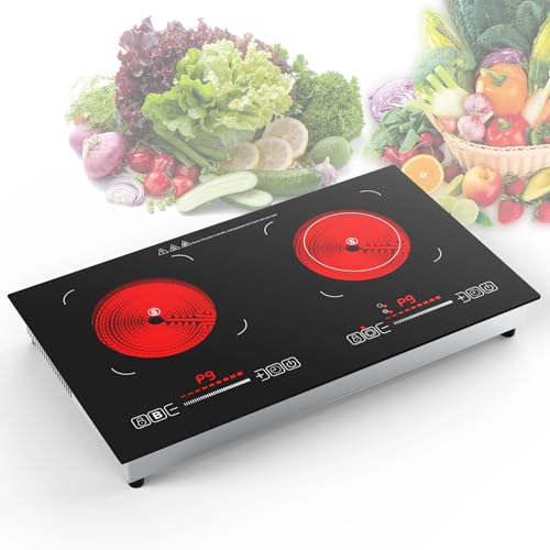 110V 2400W