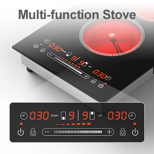 ZCCQ Portable dual Electric Cooktop