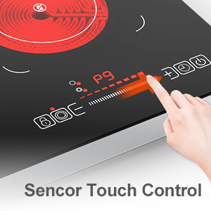 ZCCQ Portable dual Electric Cooktop