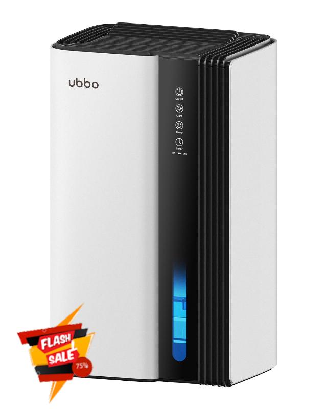 Dehumidifiers for Home