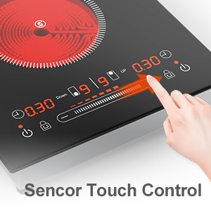 ZCCQ Portable dual Electric Cooktop
