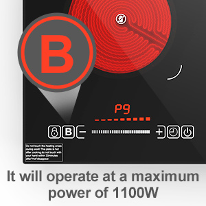 ZCCQ Portable dual Electric Cooktop