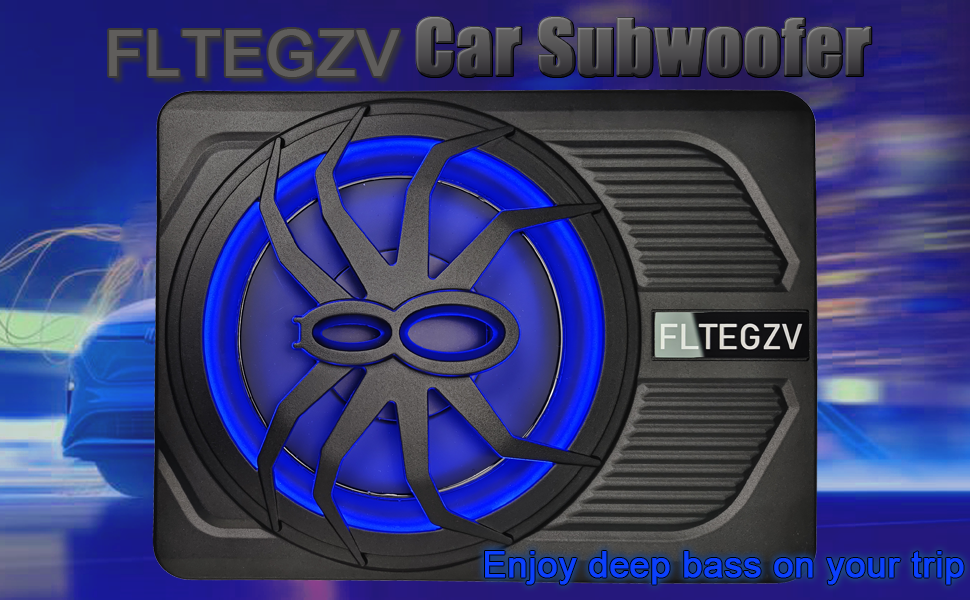 Car subwoofer