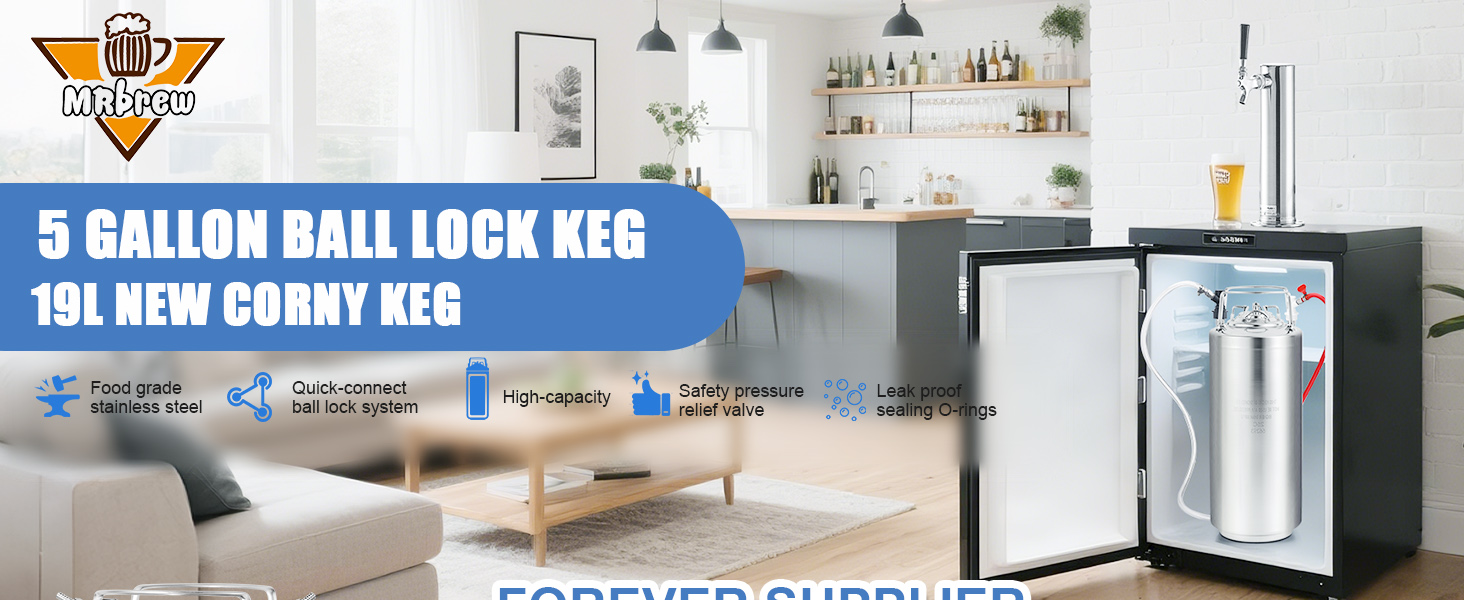 New 5 Gallon Ball Lock Keg